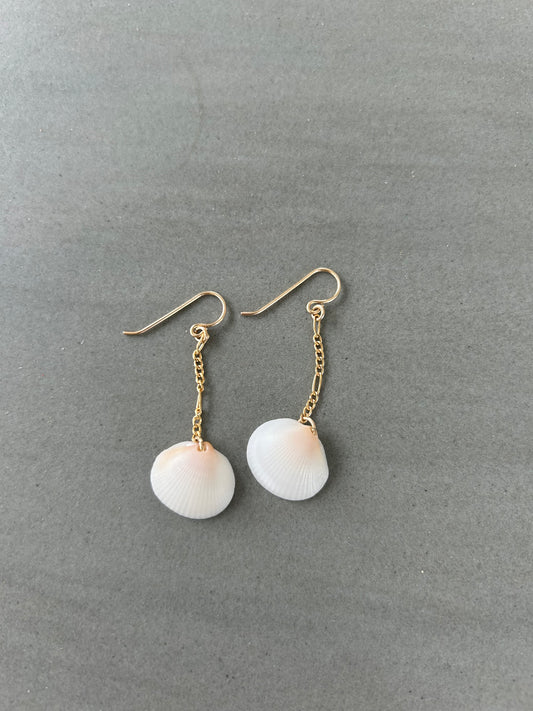 Shell Earrings